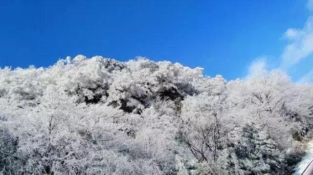 这几张图 是魔卡少女樱的哪几集？谢谢了游戏画面