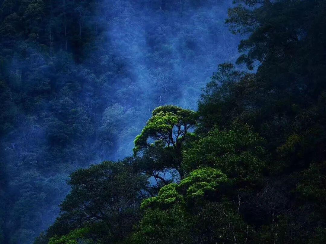 上海比较小众的咖啡馆有哪些呢?知识星球-专业的知识分享社群