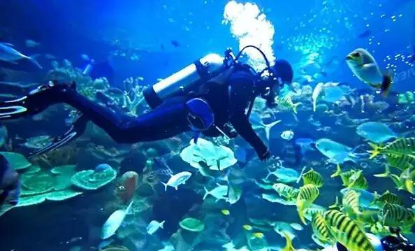 丰富多彩!琼海开展2024年春节促消费惠民生系列活动