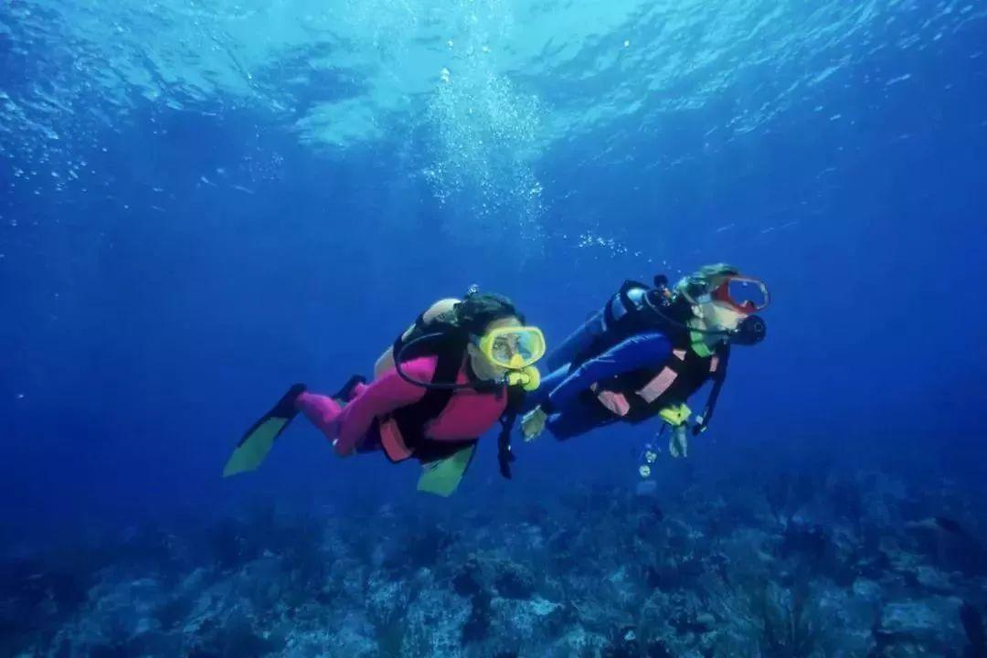 中成股份4涨停