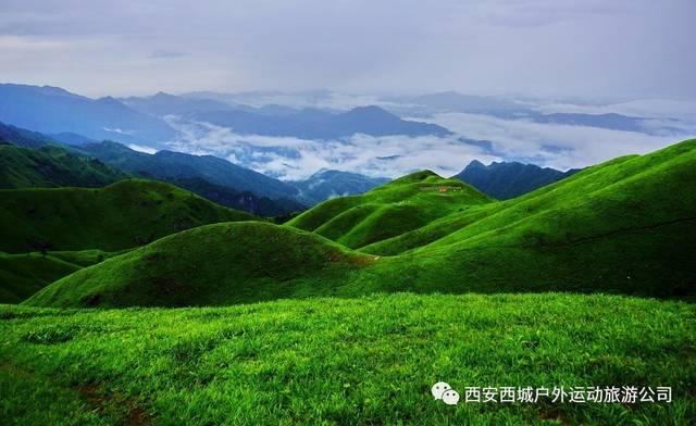 海底世界填颜色5