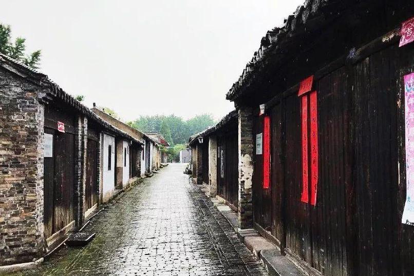饿狮救援